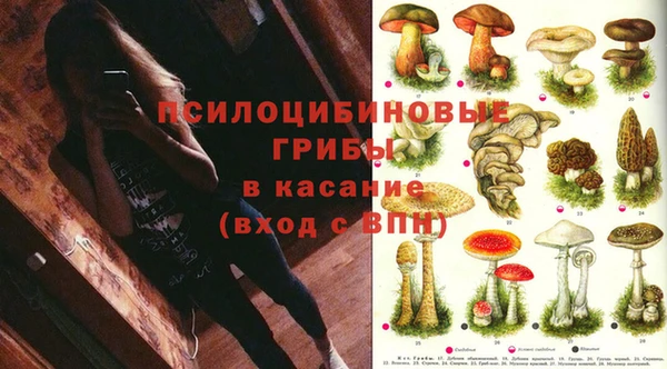 мдпв Алексин