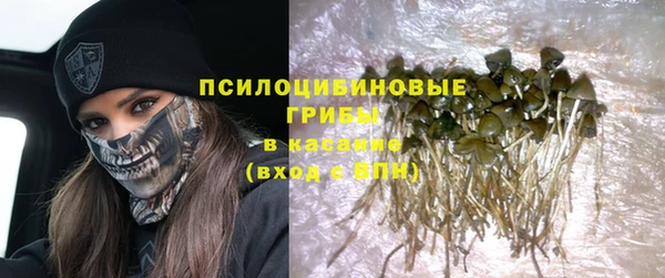 соль курить ск Алзамай
